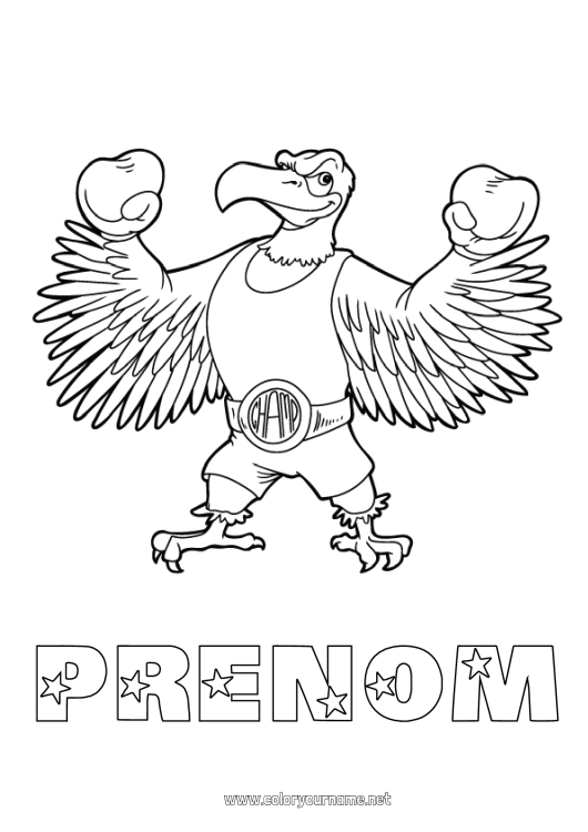 Coloriage à imprimer Sport Animal Champion Sports de combat Aigle Boxe