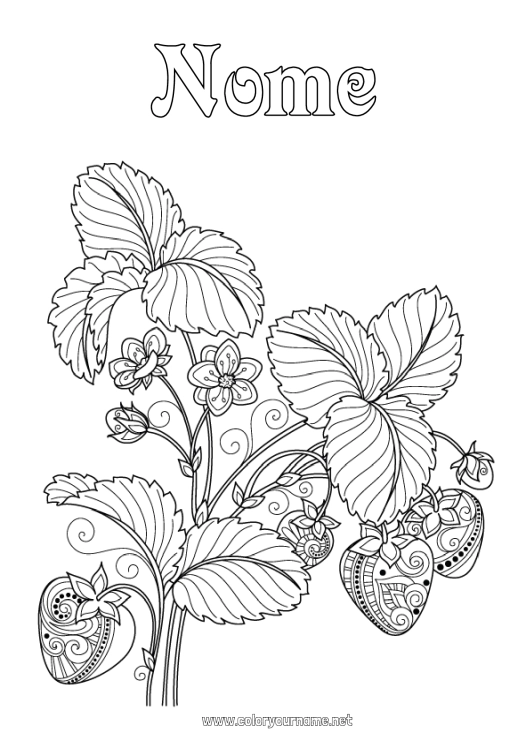 Página de desenho para imprimir Frutas Colorações Complexas Morango Zentangle