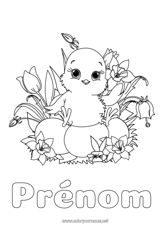 Coloriage à imprimer Fleurs Printemps Poussin Animal Oeufs de Pâques Pâques Jonquilles Tulipe Animaux de la ferme