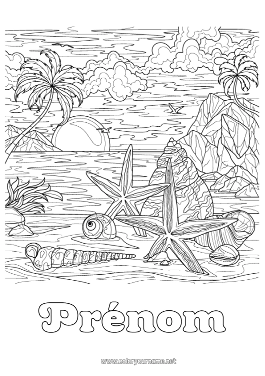 Coloriage à imprimer Calme et zen Été Plage Mer Coquillages Coloriages complexes Étoile de mer Animaux marins ou aquatique