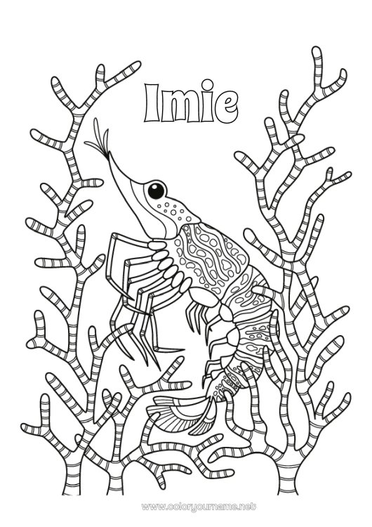 Kolorowanka do wydruku Morze Zwierzę Zwierzęta morskie lub wodne Krewetka