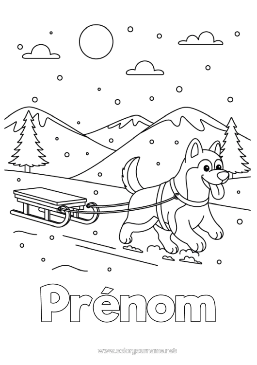 Coloriage à imprimer Sport Neige Hiver Luge Animal Chiens et chats Sports d'hiver Husky