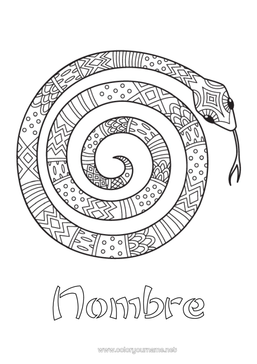 Dibujo para colorear para imprimir Animales Serpiente Dibujos intermedios para colorear Zentangle Reptiles