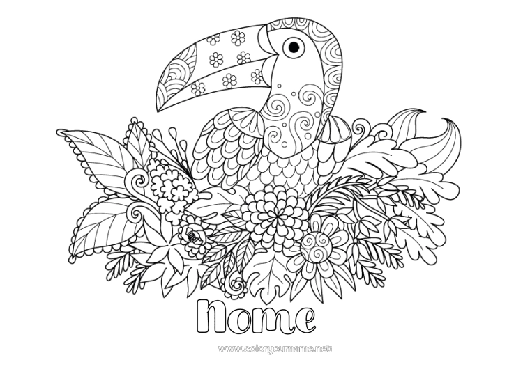 Pagina da colorare da stampare Fiori Animale Tucano Zentangle Uccelli e mammiferi volanti