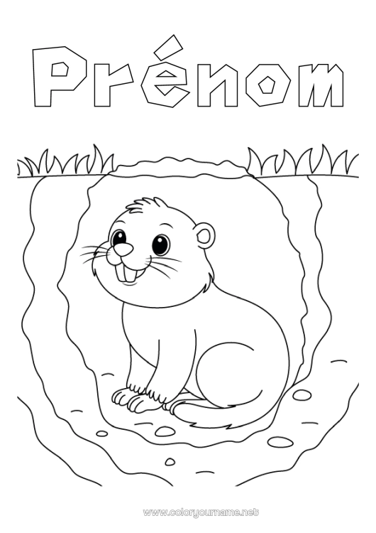 Coloriage à imprimer Animal Animaux de la forêt Marmotte Jour de la Marmotte Terrier