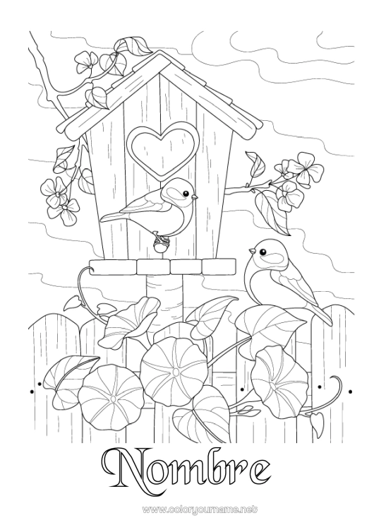 Dibujo para colorear para imprimir Pájaro Aves y mamíferos voladores Casita para pájaros Carbonero, Herrerillo