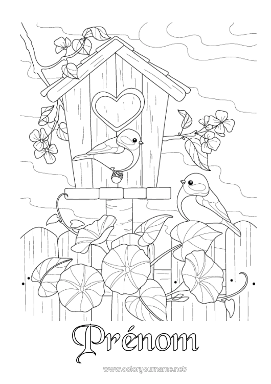 Coloriage à imprimer Oiseau Animal Oiseaux et mammifères volants Nichoir à Oiseaux Mésange