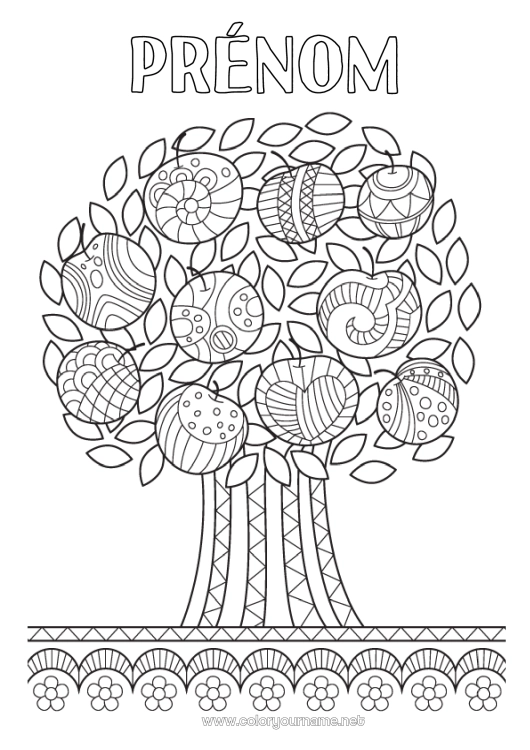 Coloriage à imprimer Arbre Fruits Zentangle Pomme Pommier