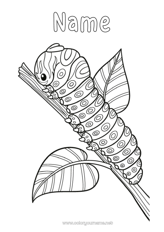 Coloring page to print Animal Zentangle Insects Caterpillar