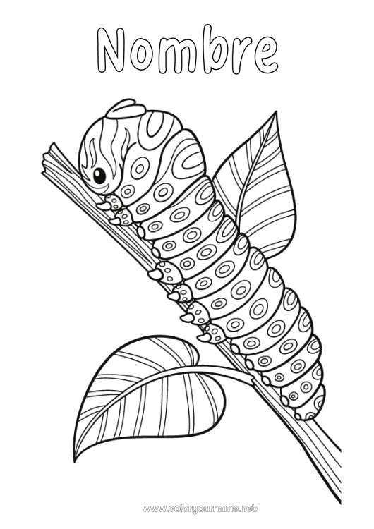 Dibujo para colorear para imprimir Animales Zentangle Insectos Oruga