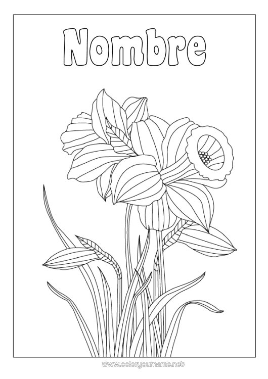 Dibujo para colorear para imprimir Flores Narcisos Zentangle