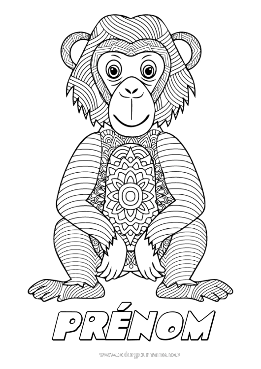 Coloriage à imprimer Mandala Animal Singe Zentangle Animaux sauvages d'Afrique