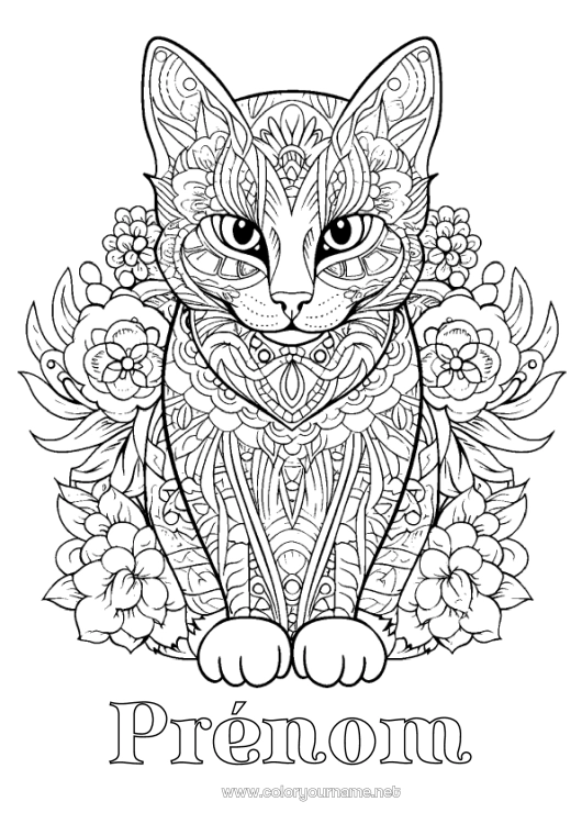 Coloriage à imprimer Chat Mandala Animal Coloriages complexes Zentangle Chiens et chats