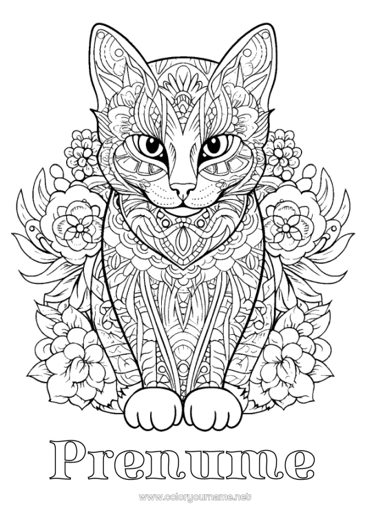 Pagină de colorat de imprimat Pisică Mandala Animal Desene de colorat complexe Zentangle Câini și pisici