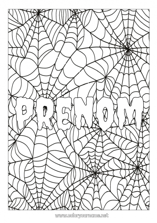 Coloriage à imprimer Araignée Halloween Insectes