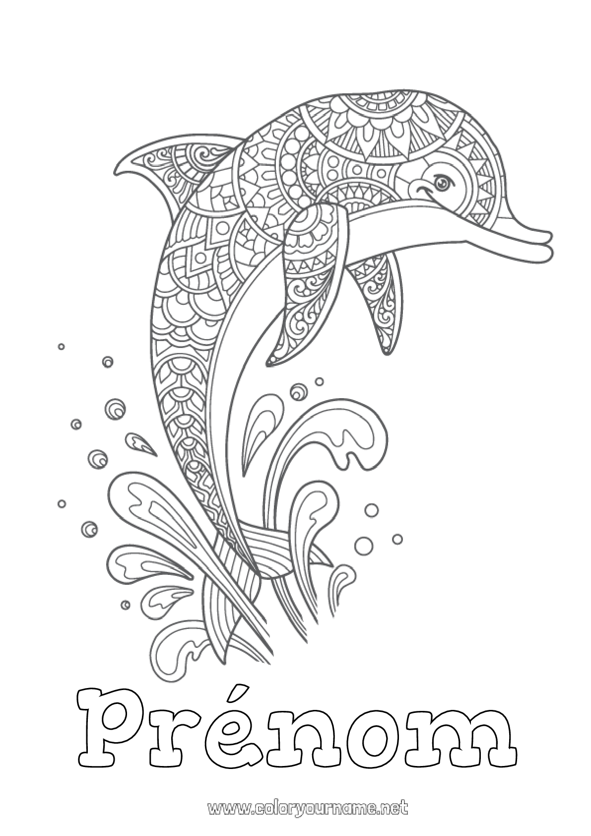 Coloriage magique Dauphins - Un Anniversaire en Or