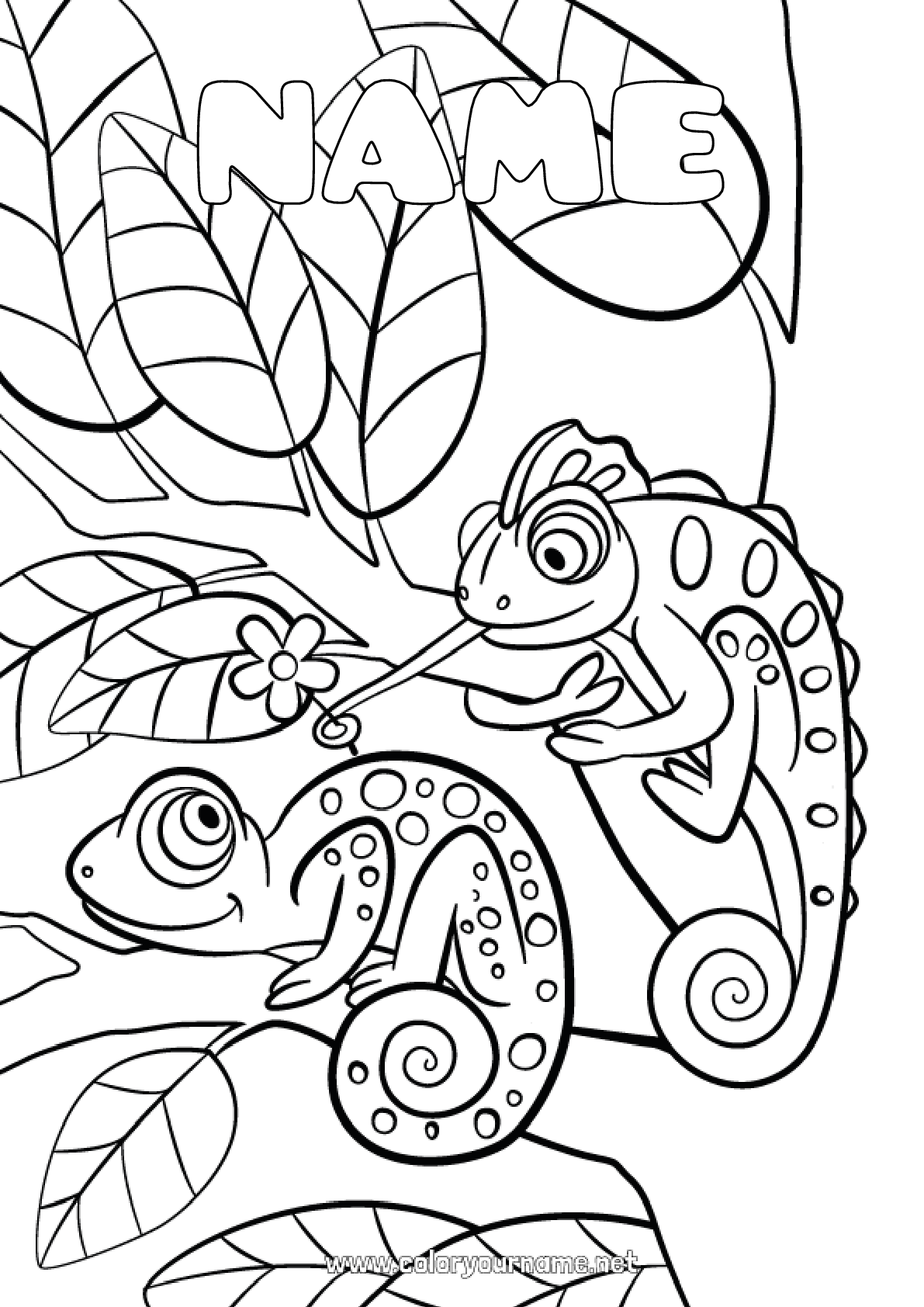 coloring pages on chameleons