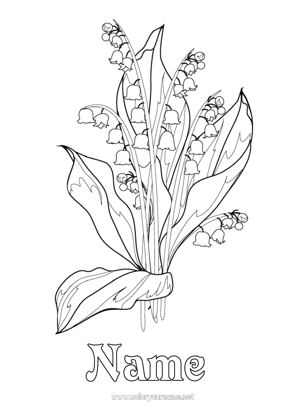 Coloring page No.1852 - Flowers Lily of the valley 1st may