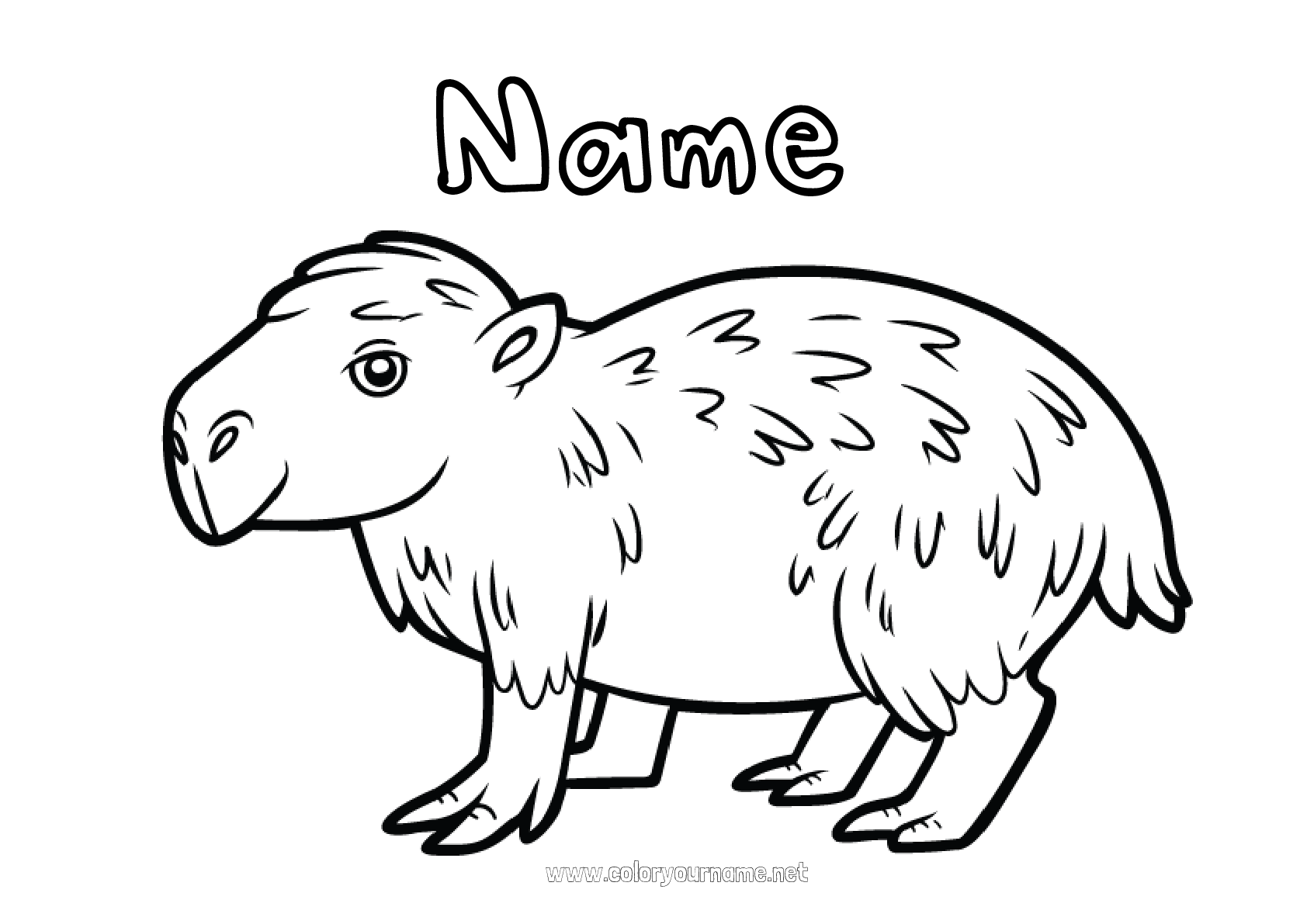 Coloring page No.2584 - Animal Forest animals South America