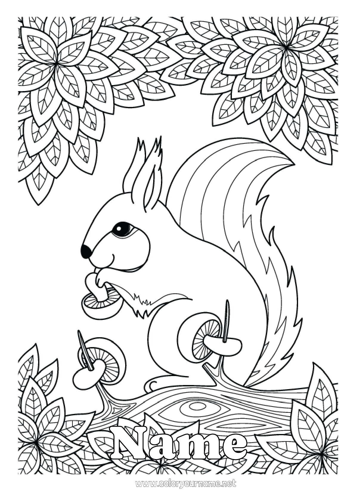 Coloring page No.2725 - Squirrel Autumn Leaves