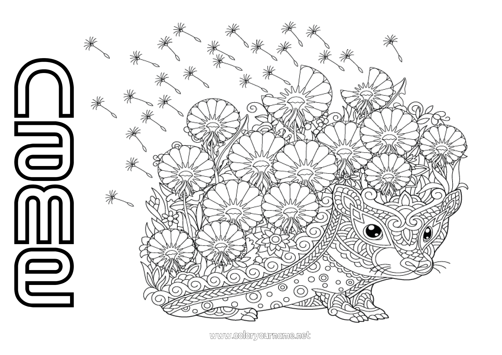 Coloring page No.2907 - Flowers Hedgehog Mandala