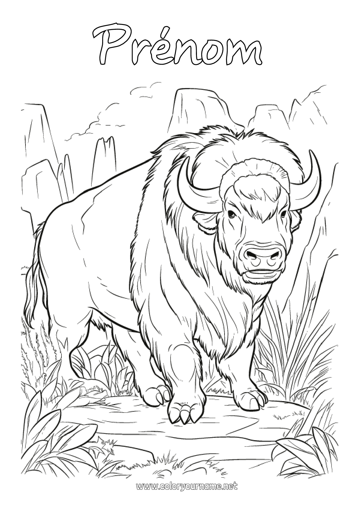 Coloriage n°3982 - Animal Autres animaux du monde Bison