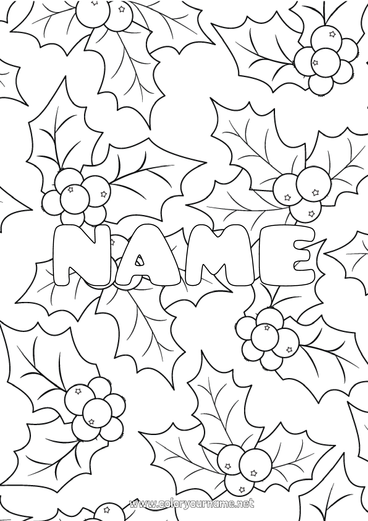 Coloring page No.562 - Winter Holly